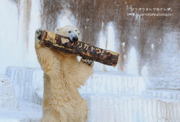 アリガトウ!_b0024758_2321889.jpg