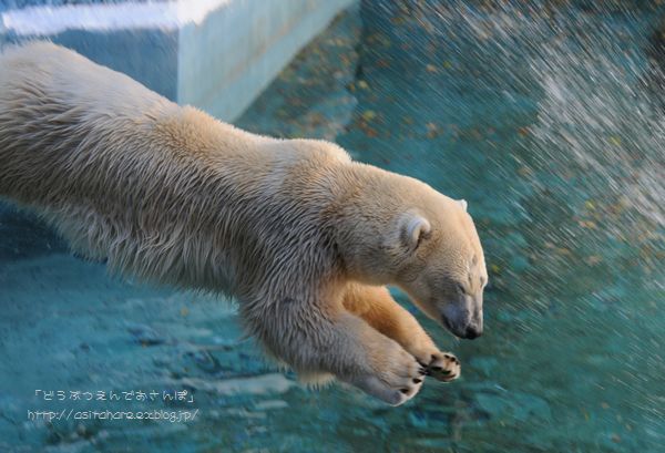 アリガトウ!_b0024758_23253996.jpg