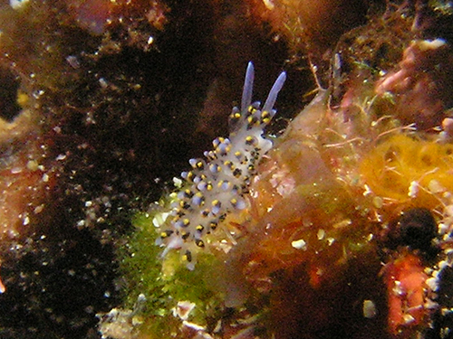 11月30日 遺跡・ダイヤティ・赤土_d0113459_2019133.jpg