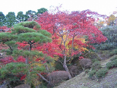 恒例　秋の箱根路（１）_b0145863_173565.jpg