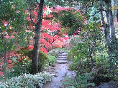 恒例　秋の箱根路（２）_b0145863_1936554.jpg