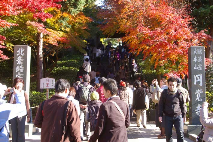 鎌倉紅葉情報①北鎌倉円覚寺（08・11・29～30）_c0014967_23422316.jpg