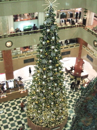 e0142170_1056233.jpg