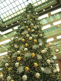 e0142170_16566.jpg