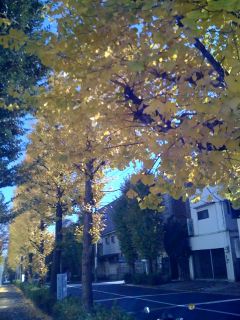 c0067272_22314793.jpg