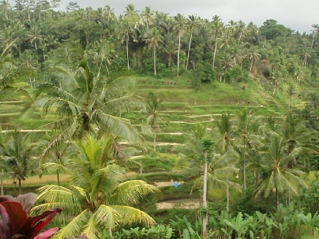 b0092475_02850.jpg