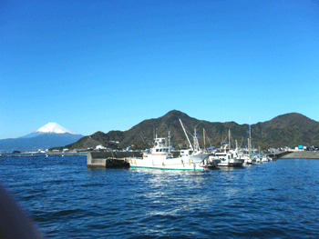 b0155675_2152084.gif