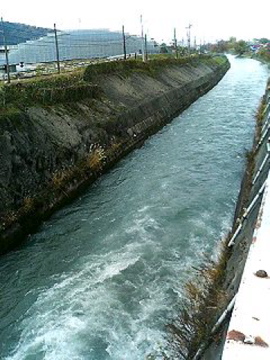 f0054677_947387.jpg