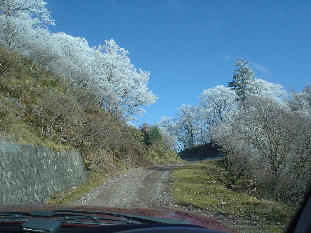 f0064278_19173190.jpg