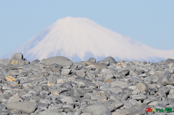 富士山のパウダー攻めたいですねっ_f0110680_19561352.jpg