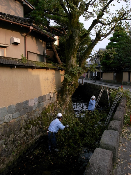 金沢まで 武家屋敷跡_e0082981_0231525.jpg