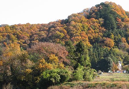 「パトリアおがわ」界隈は　いま　「雑木紅葉」　(^^) _c0076682_1941573.jpg