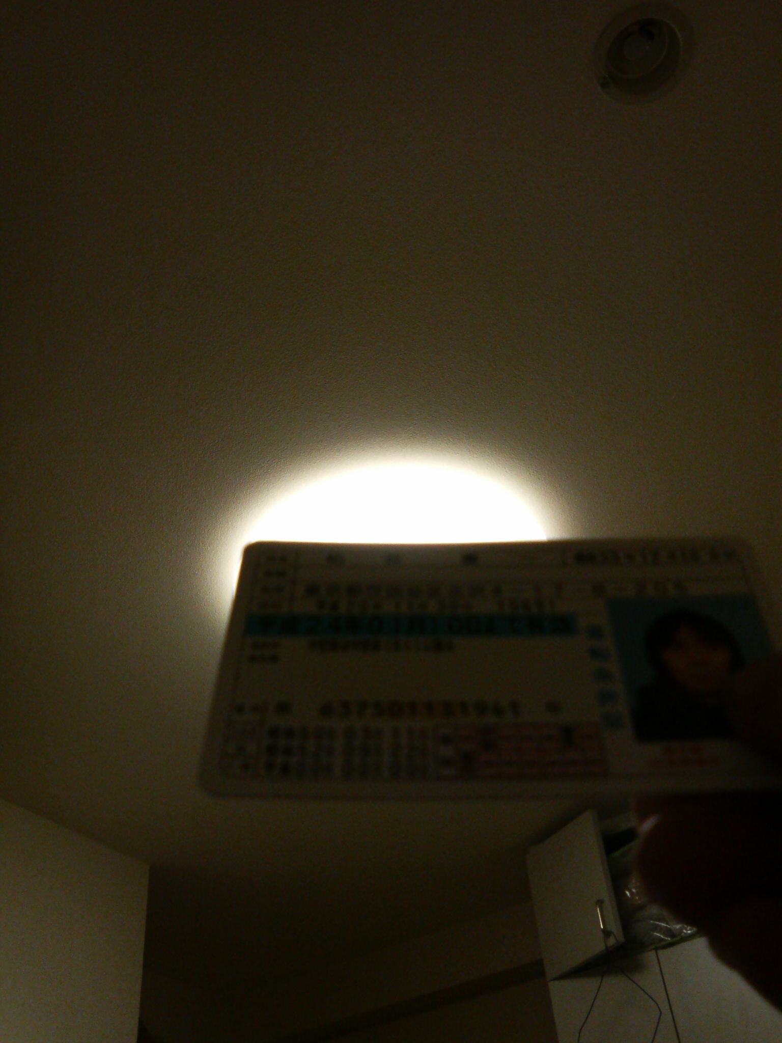 運転免許証更新_a0075684_2165938.jpg