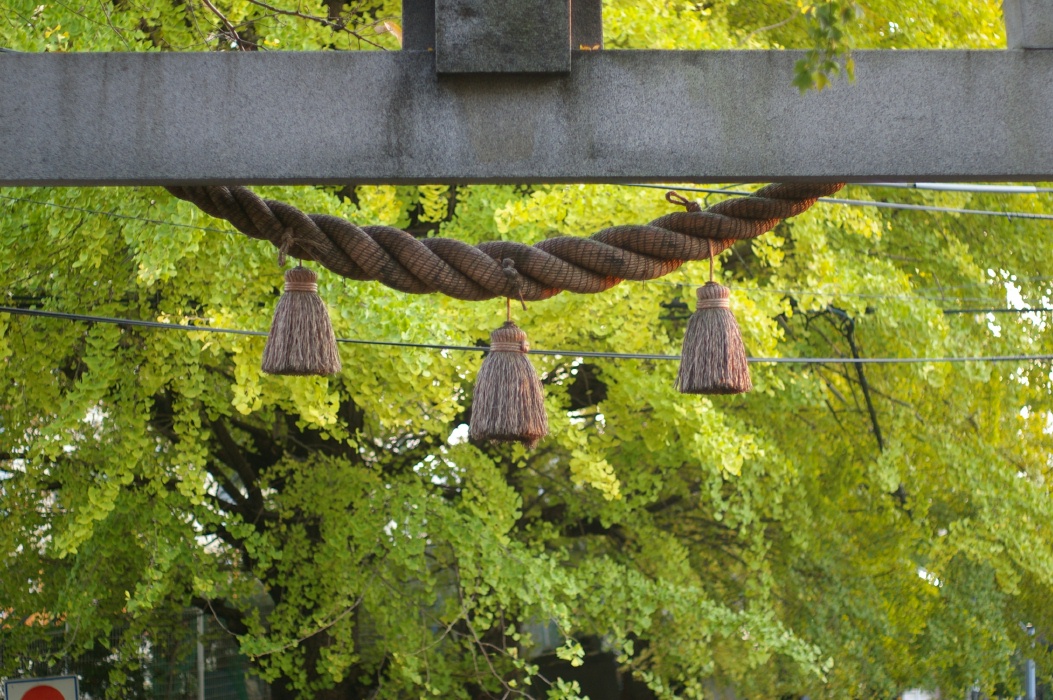 晩秋の氷川神社_b0160184_23595728.jpg