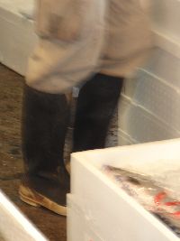 b0101991_22433487.jpg