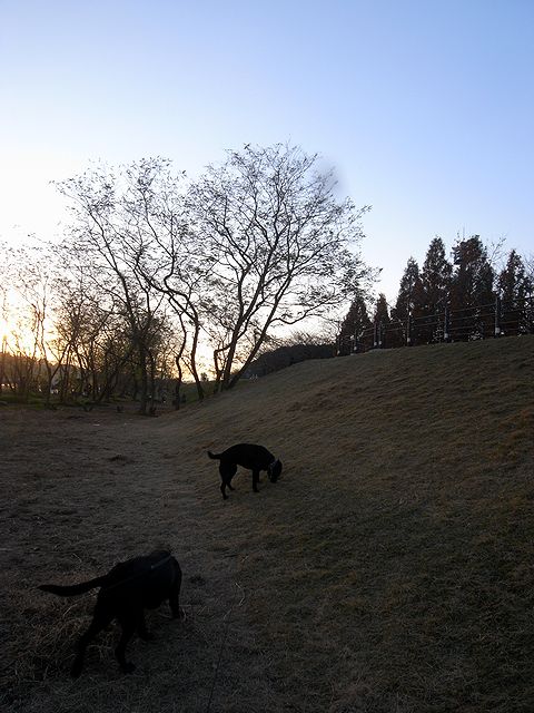 a0093592_1482023.jpg