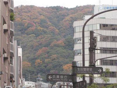 山の色づき_b0051598_21561153.jpg