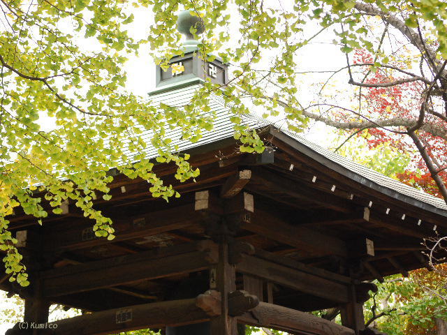 吉祥寺、安養寺_c0090703_2242307.jpg