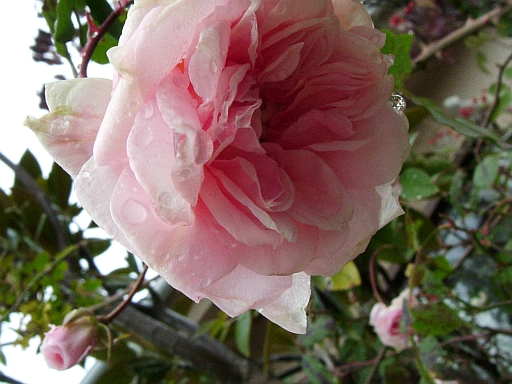 f0007106_15392638.jpg