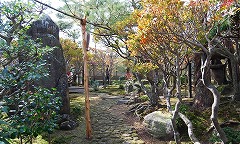 e0093407_165462.jpg