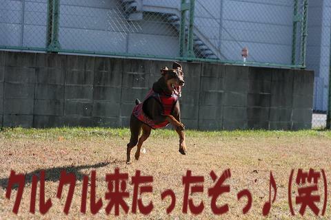 e0100007_22201072.jpg