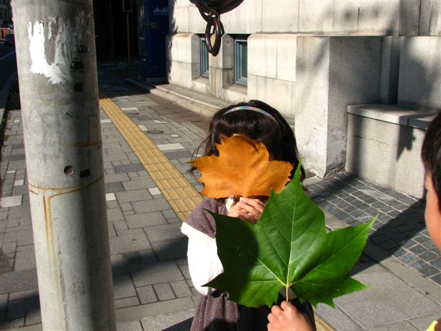 b0056108_1613321.jpg