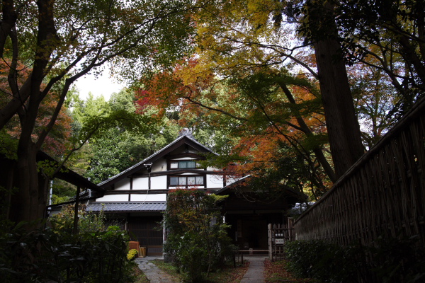 京都 泉涌寺 来迎院_f0145608_2343568.jpg