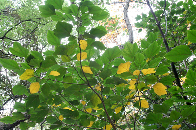 c0011009_3285167.jpg