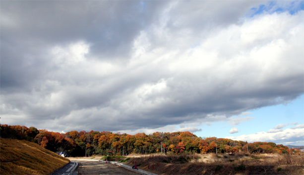 c0011009_330971.jpg