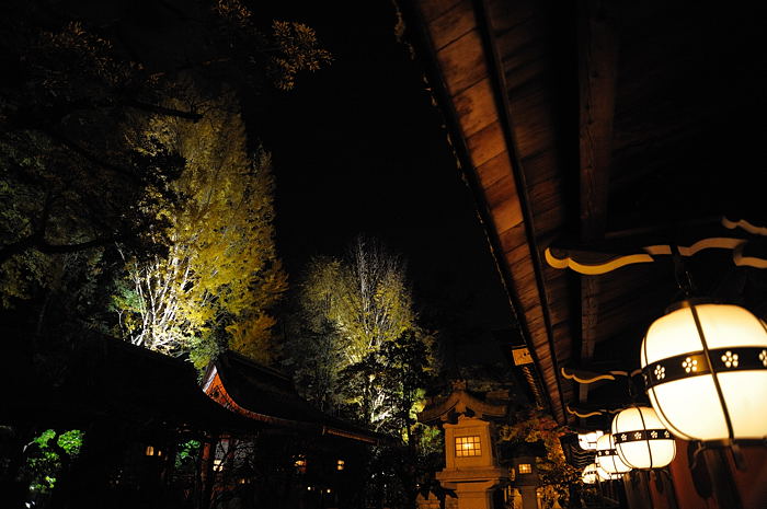 f0032011_1951121.jpg