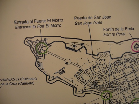 e0049015_352620.jpg