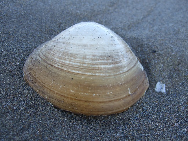f0143119_20431342.jpg