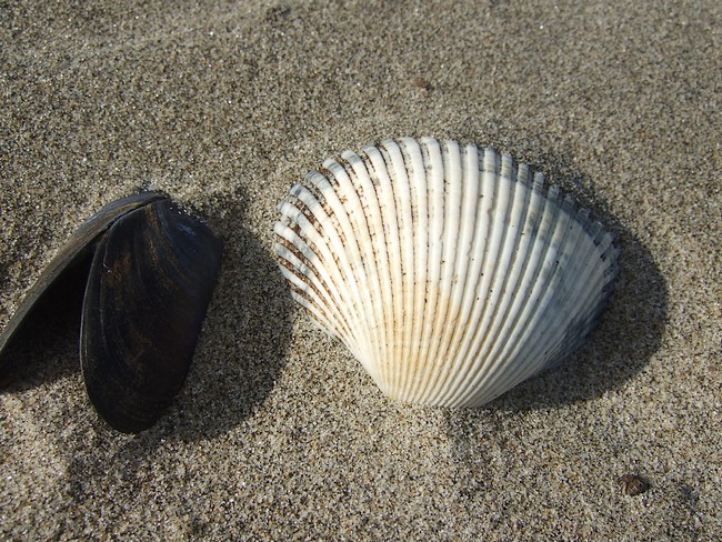 f0143119_20432448.jpg