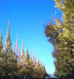 a0039720_98622.jpg