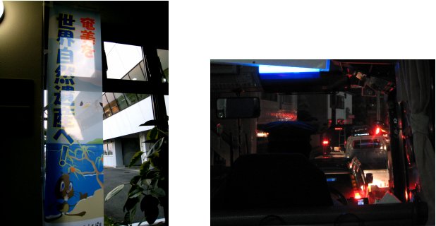 屋久島編(18):奄美大島(08.3)_c0051620_837337.jpg