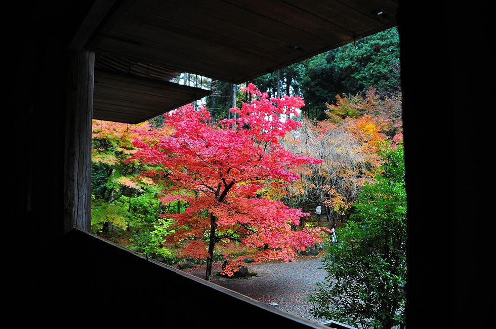 湖東三山の真ん中、金剛輪寺が朱に染まって・・・_a0031821_834485.jpg