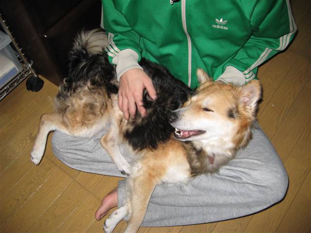d0046821_16104829.jpg