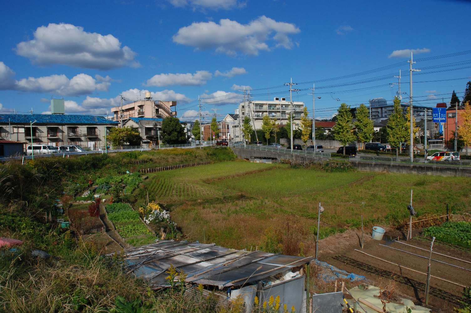 b0069128_17414290.jpg