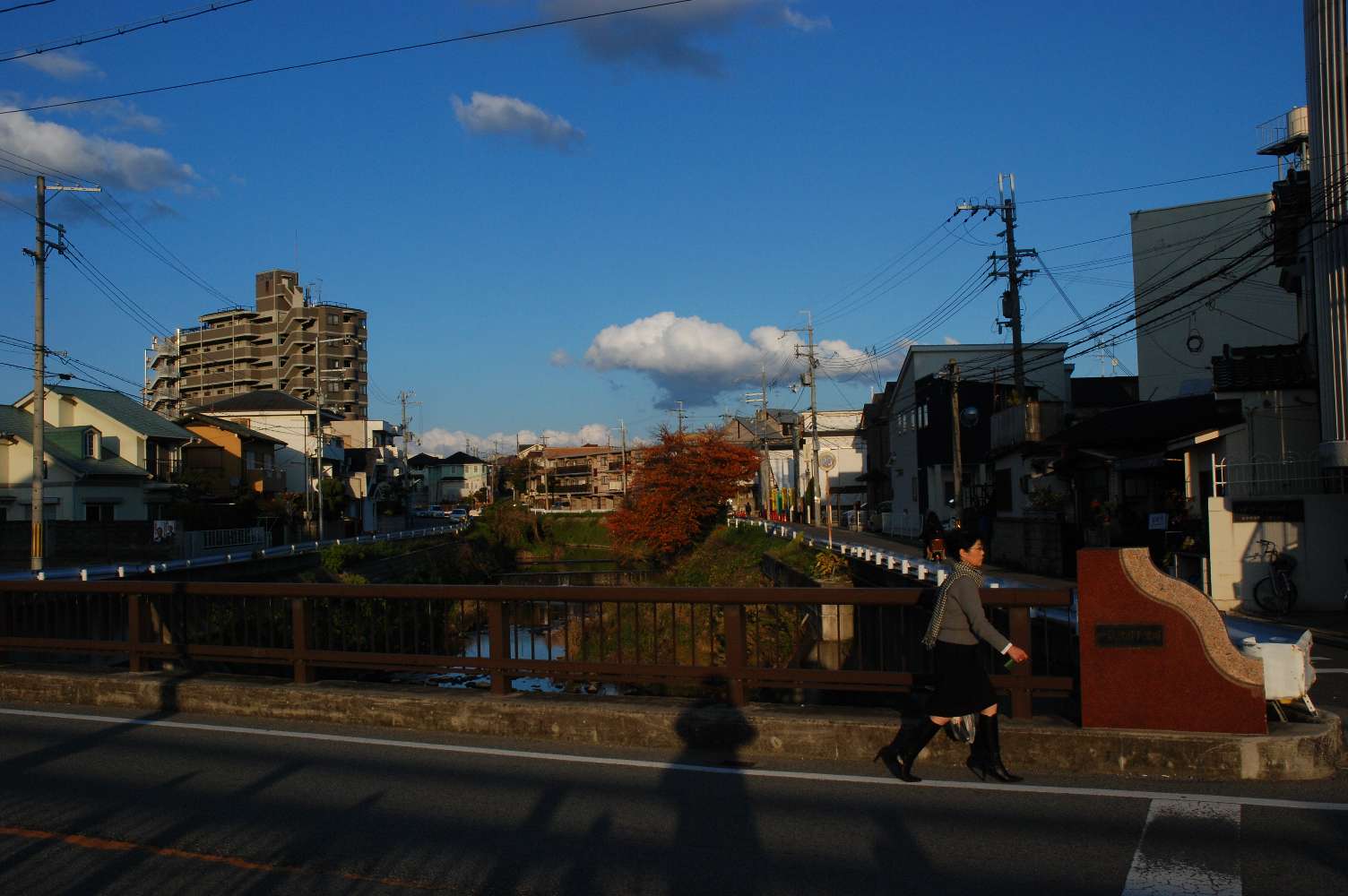 b0069128_18218100.jpg