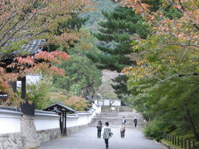 f0054428_17113962.jpg