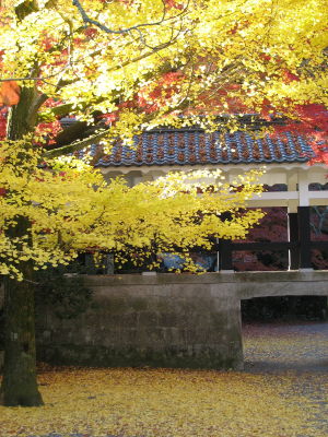 f0054428_1721501.jpg