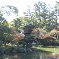 d0033734_1141691.gif