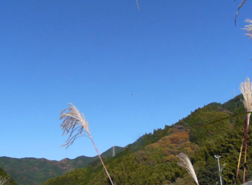 a0056140_1619463.jpg