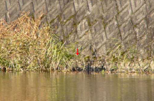 a0056140_1652418.jpg