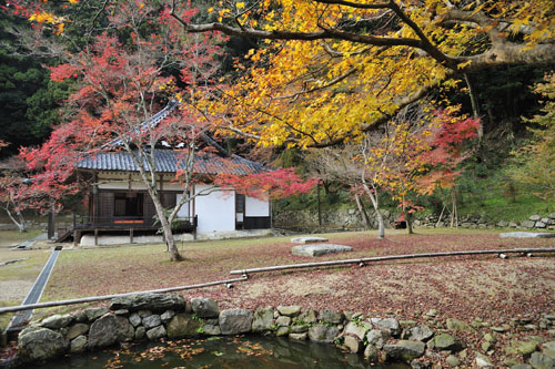 奈良　正暦寺  本堂。_b0143240_16471499.jpg