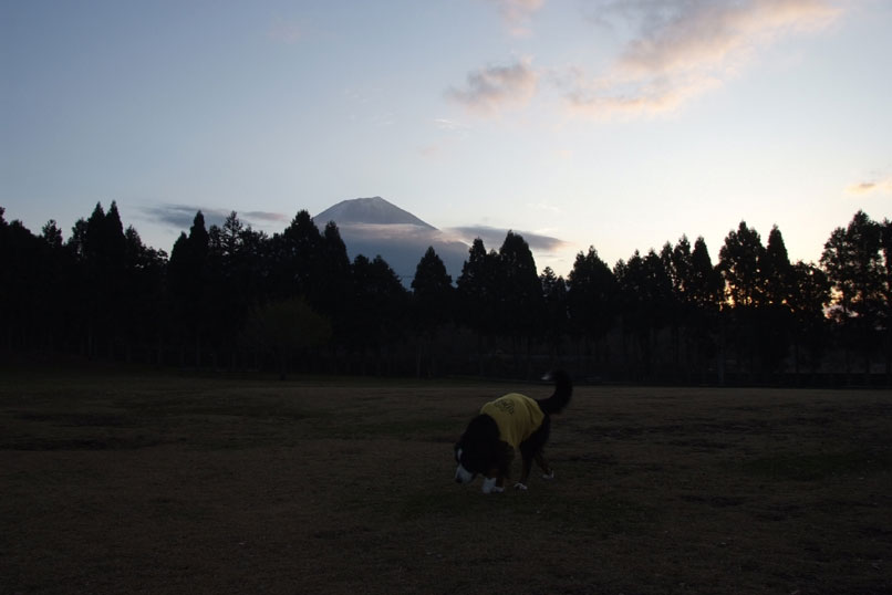 朝霧高原２日目の朝♪～旅の三日目＾＾_b0075541_20325975.jpg