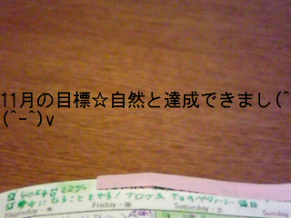 081201 11月のふりかえり&12月のスケジューリング_f0164842_811499.jpg