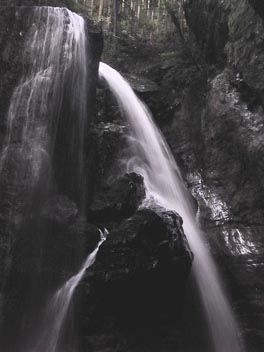 c0096643_1692390.jpg