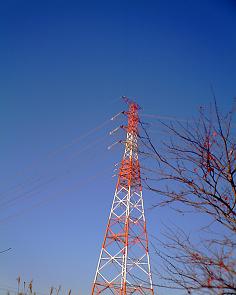 c0107144_204637.jpg