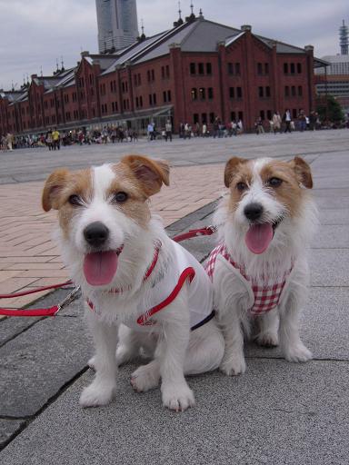 c0156345_00750.jpg